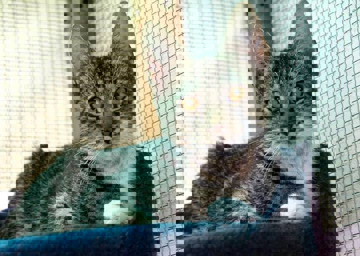 17_08200137.JPG