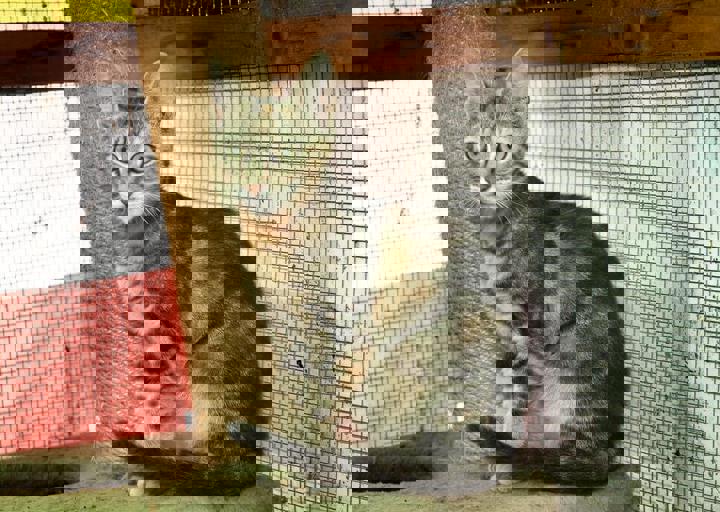 17_08200138.JPG