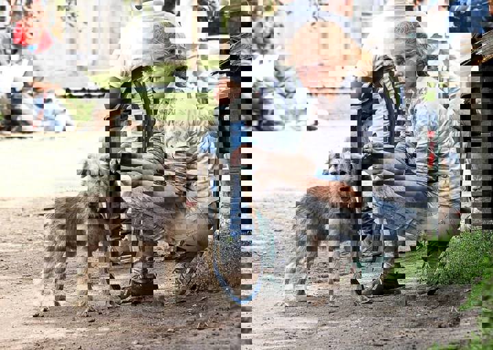 17_08200150.JPG