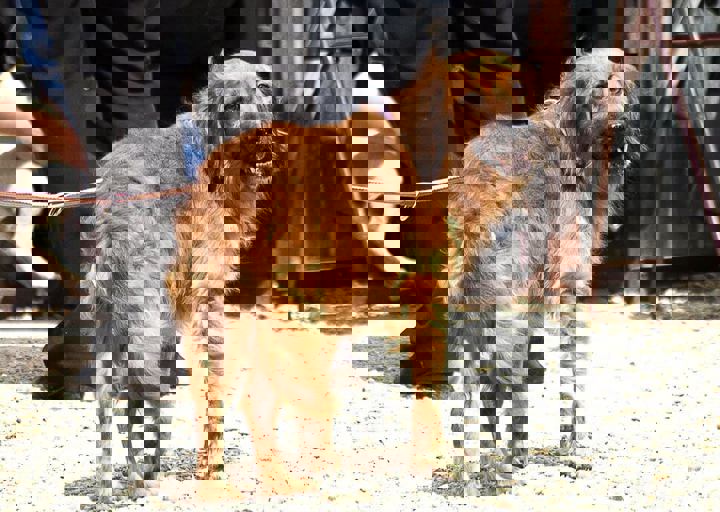 17_08200156.JPG