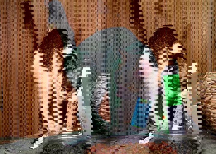 17_08200168.JPG