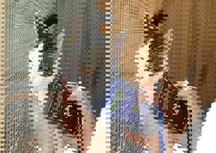 17_08200171.JPG