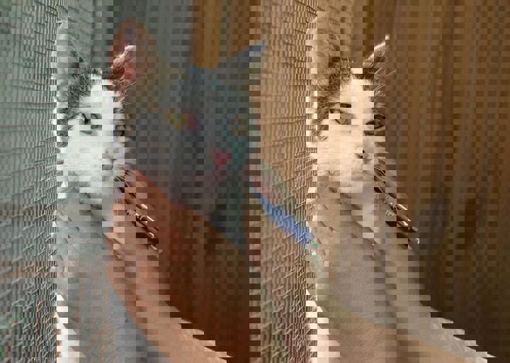 17_08200172.JPG