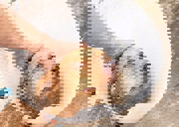 17_08200173.JPG