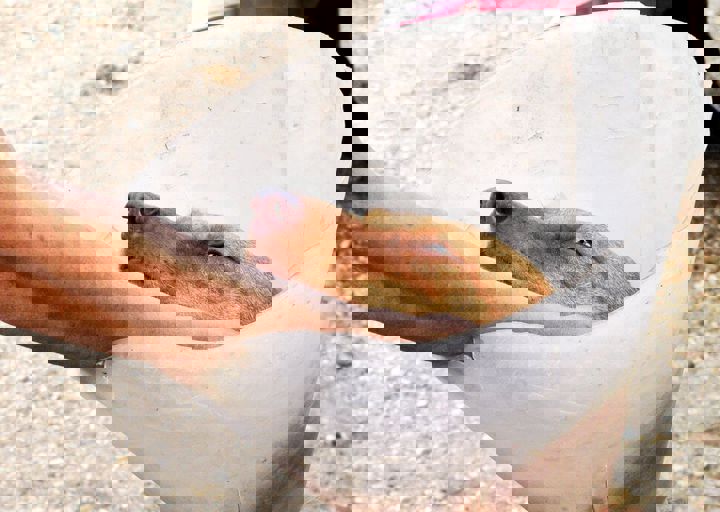 17_08200174.JPG