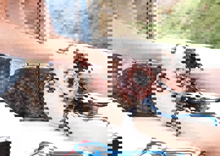 17_08200176.JPG