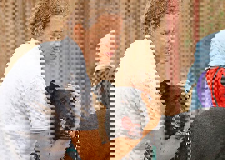 17_08200197.JPG