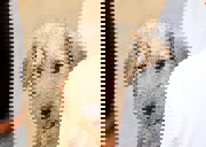17_08200206.JPG