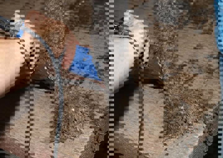 17_08200211.JPG
