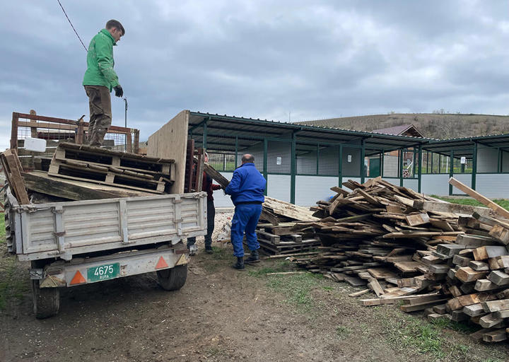 Aca Tierheim Svilos 8