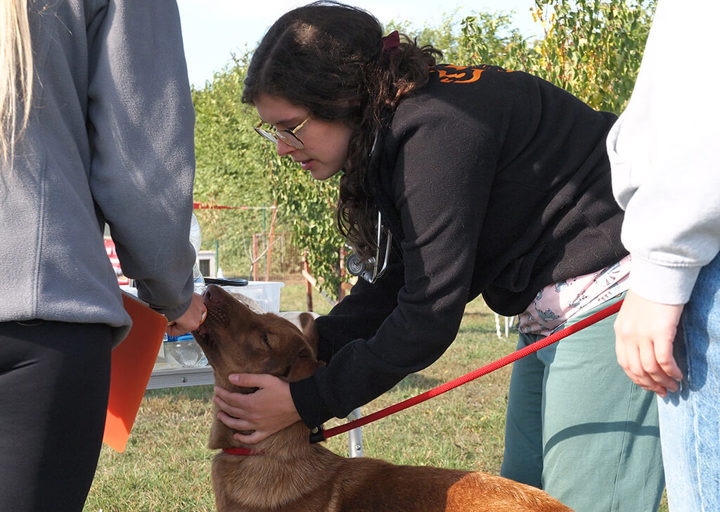 Kopie Von 25 10120517