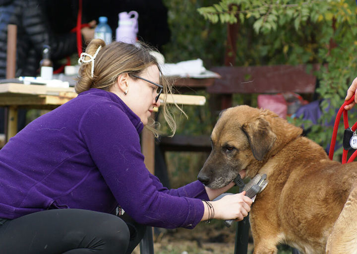 Kopie Von 25 10120223