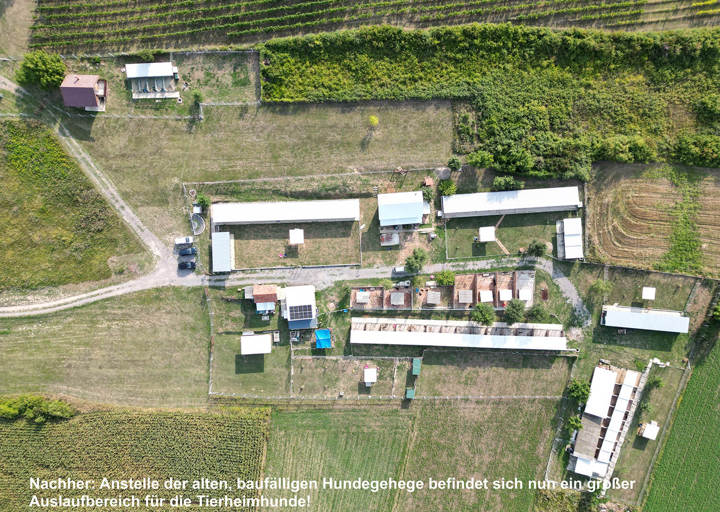 Aca Tierheim Svilos 18