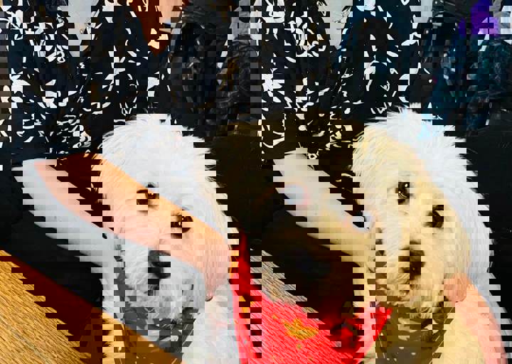 Aca Martys Party 2025 13