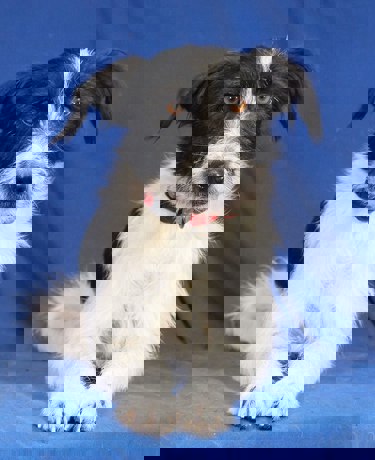 Kevin 1