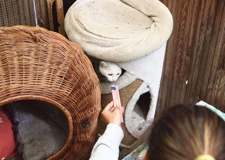 Kopie Von 25 10120264