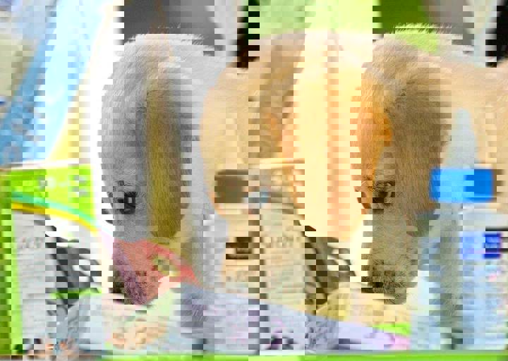 19_05260566.jpg