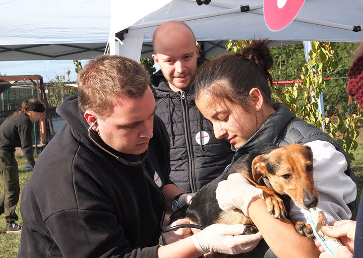 Kopie Von 25 10120563