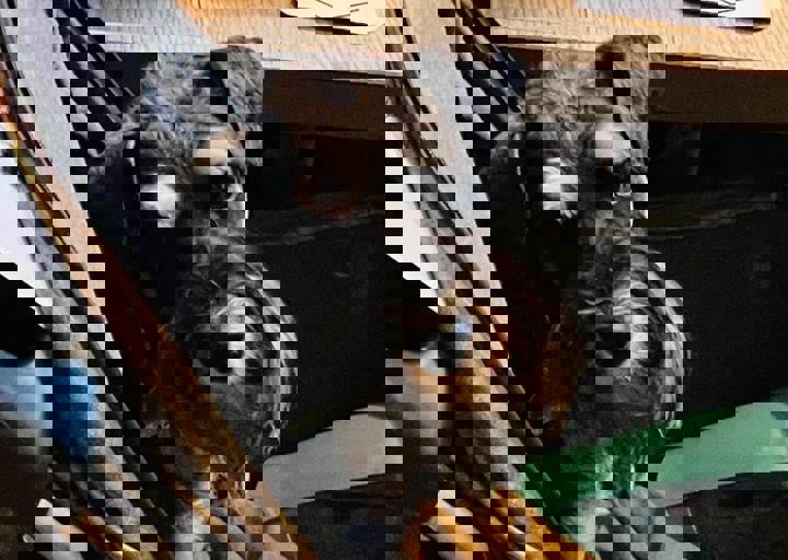 Aca Martys Party 2025 30