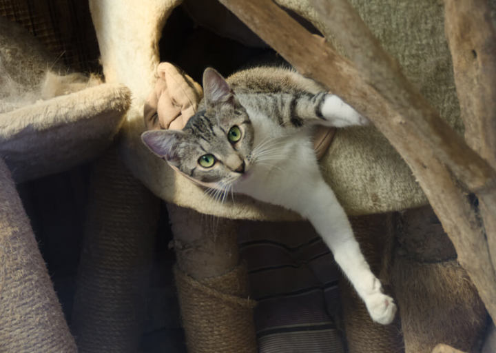 DSH_6026.jpg