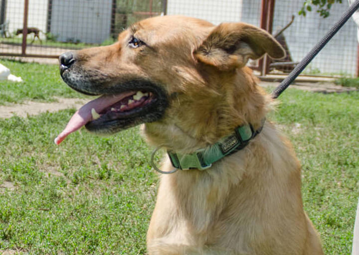 Ordog_6908.jpg