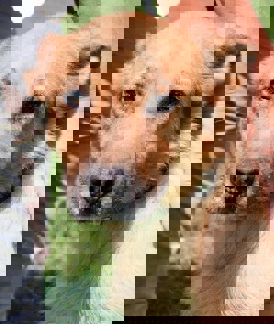 Odin_3.jpg (3)