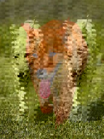 Odin_4.jpg (3)