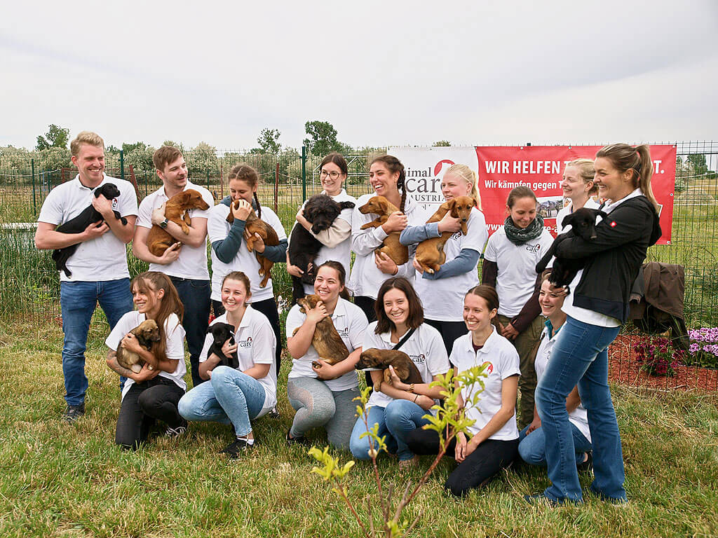 VetMed-Studierende auf einem Animal Care Austria Care Day