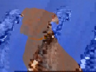 Alma_1.jpg (1)
