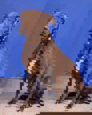 Alma_1.jpg (1)