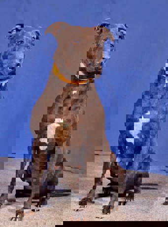 Alma_3.jpg (1)