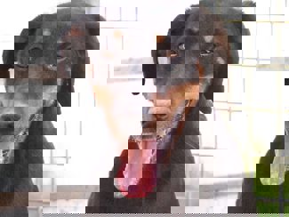 Kent_1.jpg