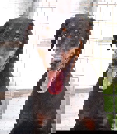 Kent_1.jpg