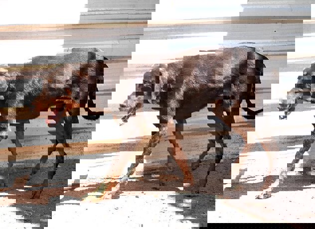 Kent_2.jpg