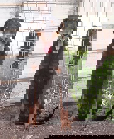 Kent_4.jpg