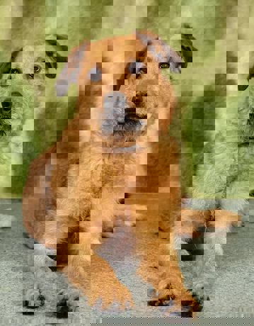 Medve_1.jpg