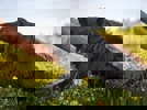 Lini_3.jpg (1)