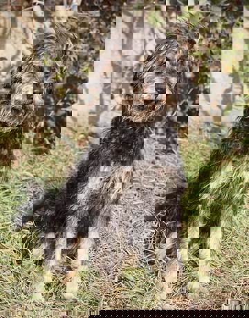 Jacky_3.jpg (2)