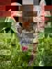 Okra_4.jpg (2)