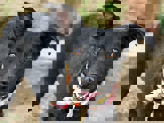 Lenka_1.jpg