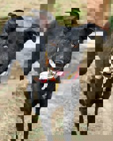 Lenka_1.jpg