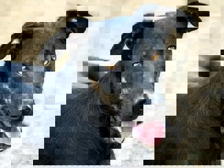Sven_1.jpg