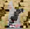 Peggy_4.jpg (4)