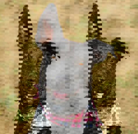 Peggy_4.jpg (4)