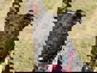 Peggy_1.jpg (5)