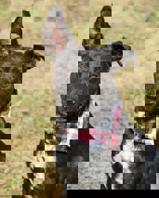 Peggy_1.jpg (5)