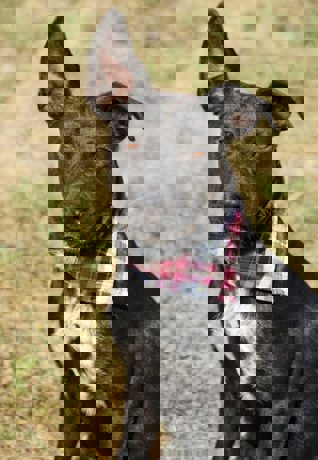 Peggy_1.jpg (5)