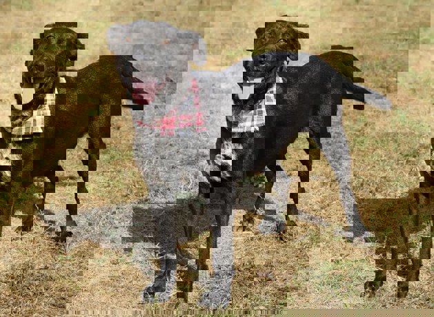 Peggy_2.jpg (3)