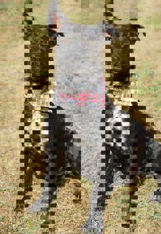 Peggy_3.jpg (3)