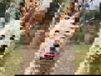 Max_1.jpg (4)